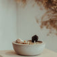 Home Clean Home Candle